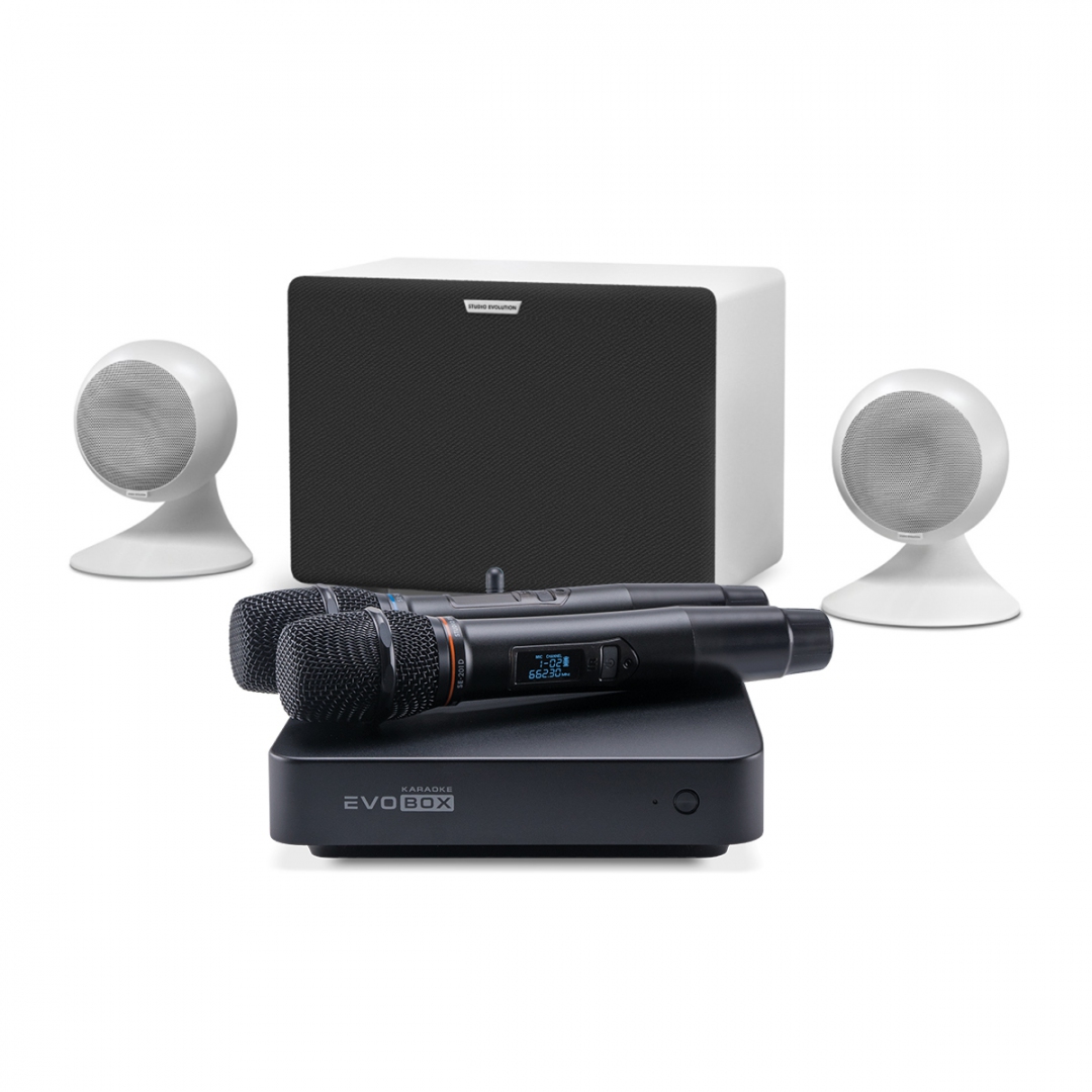 караоке-комплект EVOBOX Classic + EvoSound Sphere 2.1 в Октябрьске