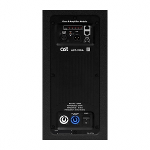 Активная акустическая система AST-310A в Октябрьске