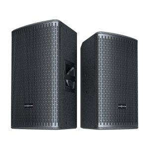 Audiocenter GT510A Активная акустическая система в Октябрьске
