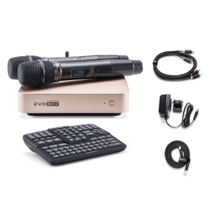 EVOBOX Classic караоке-система для дома в Октябрьске