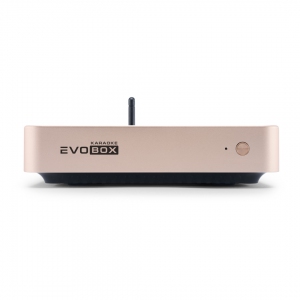 EVOBOX Plus караоке-система для дома в Октябрьске