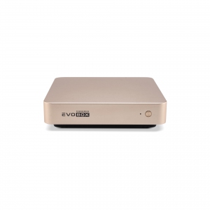 EVOBOX с микрофонами в Октябрьске